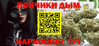 молекула духа Камышлов