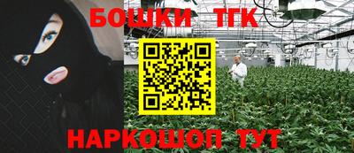 молекула духа Камышлов