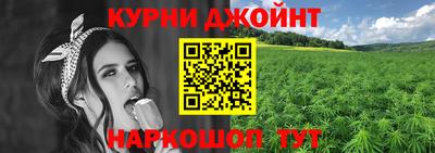 молекула духа Камышлов