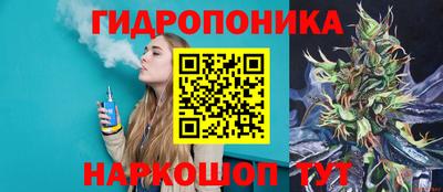 стаф Кандалакша