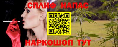 молекула духа Камышлов