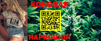 молекула духа Камышлов