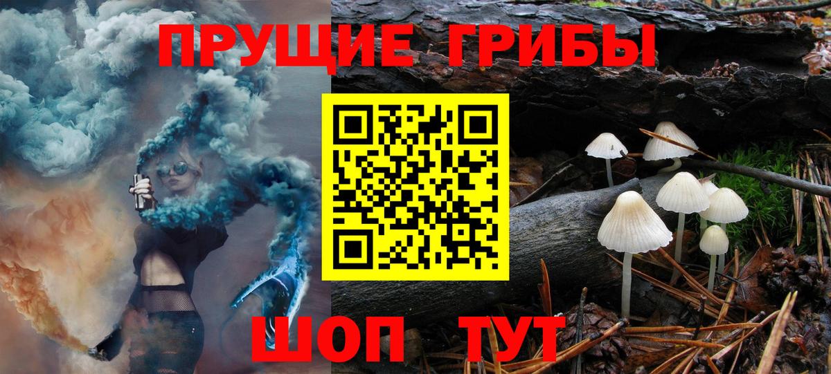 Псилоцибиновые грибы Psilocybe  Вход с VPN  Ленинск-Кузнецкий 