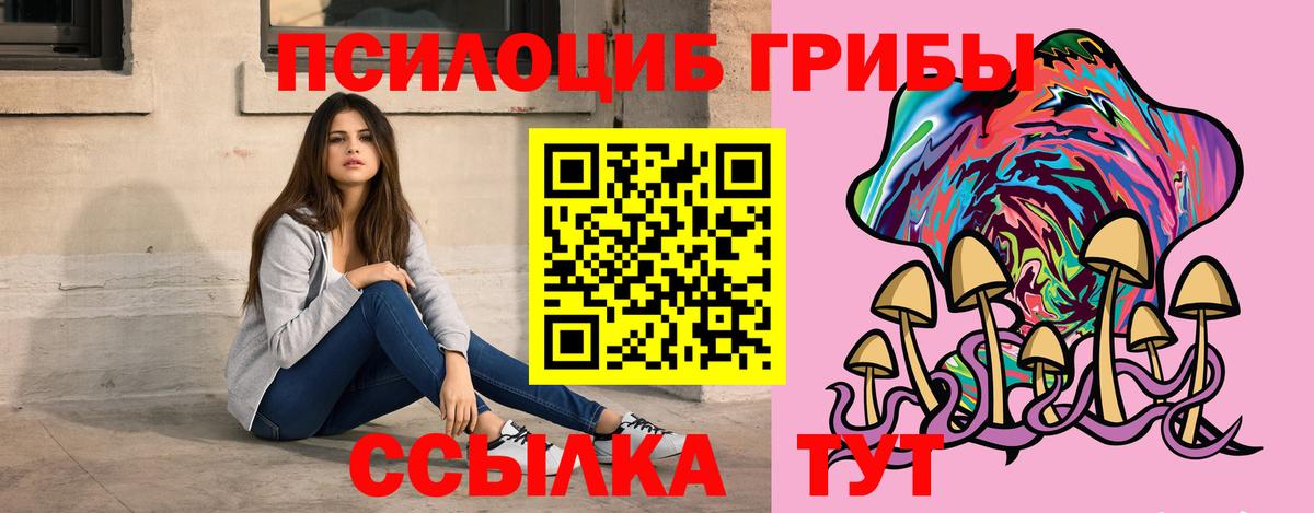 Галлюциногенные грибы Cubensis Ленинск-Кузнецкий