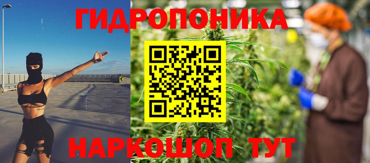 Шишки марихуана сатива  МАРИХУАНА AK-47  Бошки марихуана THC 21%  Ленинск-Кузнецкий  Вход с VPN 